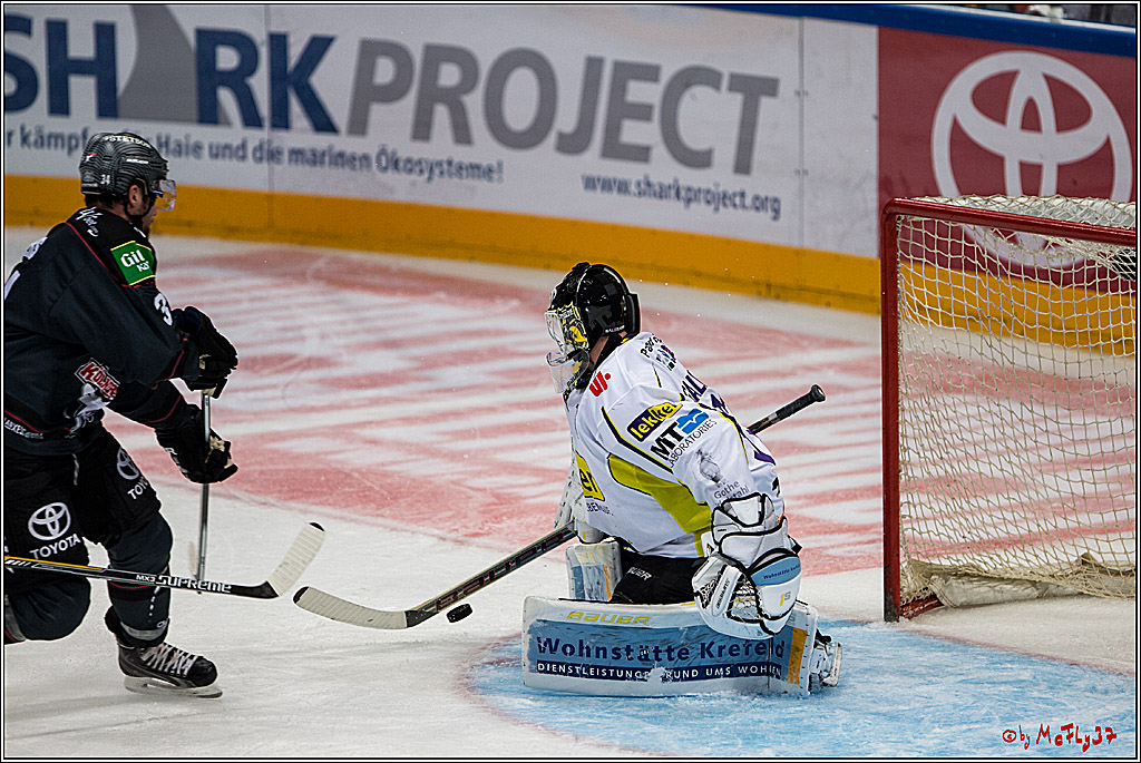 Koelner Haie - Krefeld Pinguine , 23.09.16(KW38)